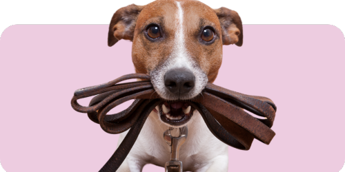 11_a190071c-2fbe-4162-86db-0e1ed92f0ab2.png