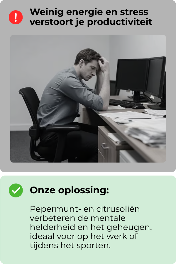 3_5a9d13df-1f29-46cb-afce-855addf0e412.png