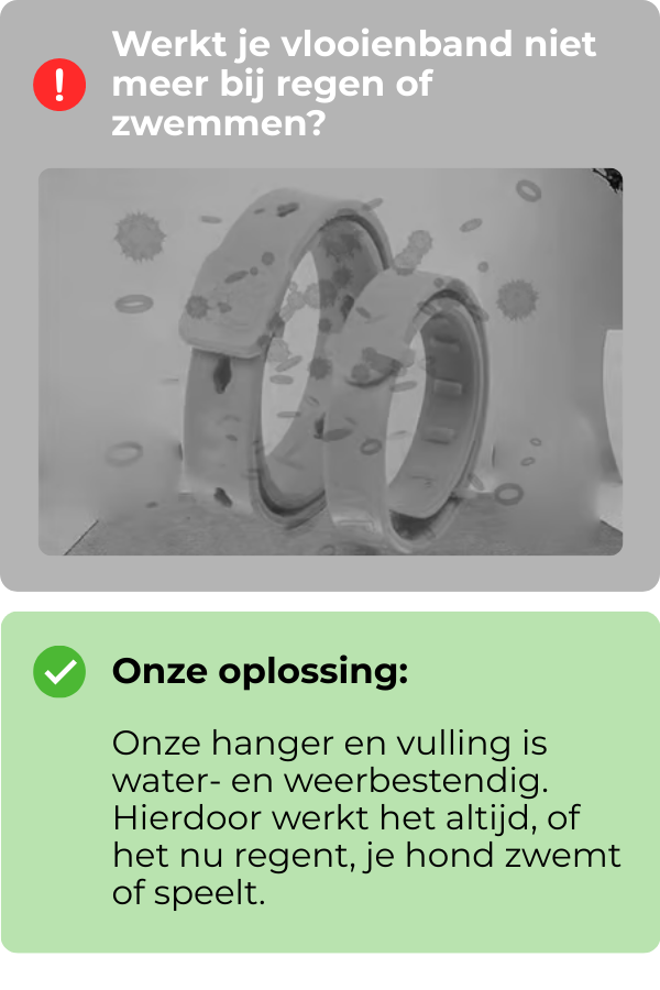4_e92e5712-d8e8-4a91-bbfb-dfb8aa6abe2a.png