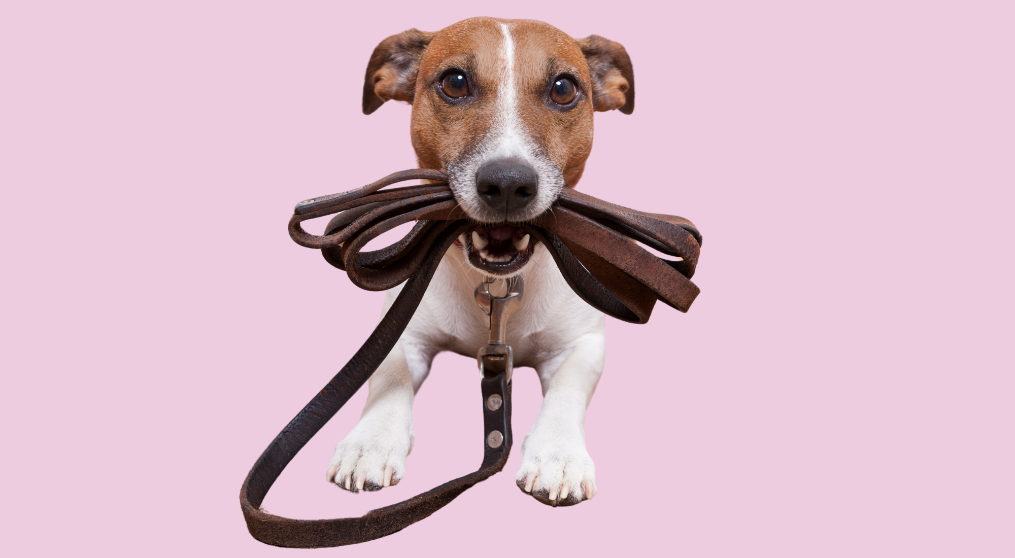 7_a6e3ba21-0327-4999-91dd-e2e9a7472258.png