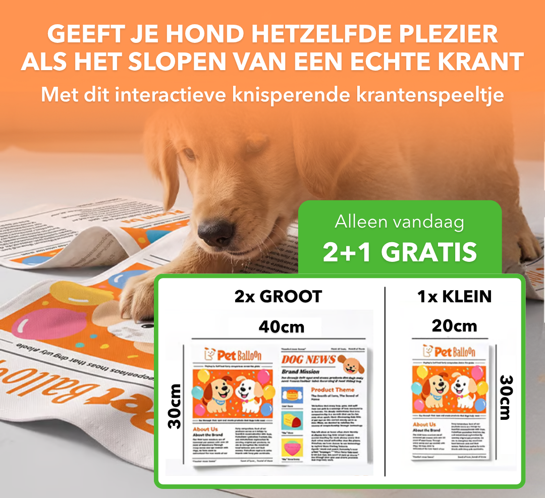 DogNews™ - Knisperend krantenspeeltje voor honden