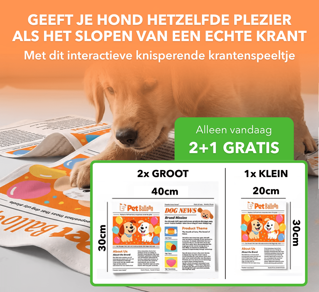 DogNews™ - Knisperend krantenspeeltje voor honden - Suusie