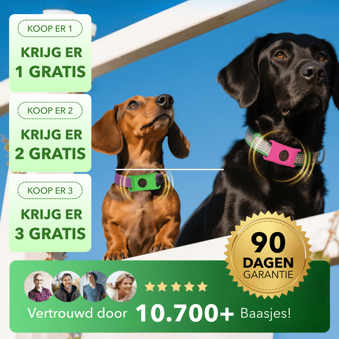 FleaTag™ - 12 maanden vrij van vlooien en teken - Suusie